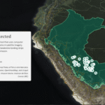 Clandestine Landing Strips in the Peruvian Amazon